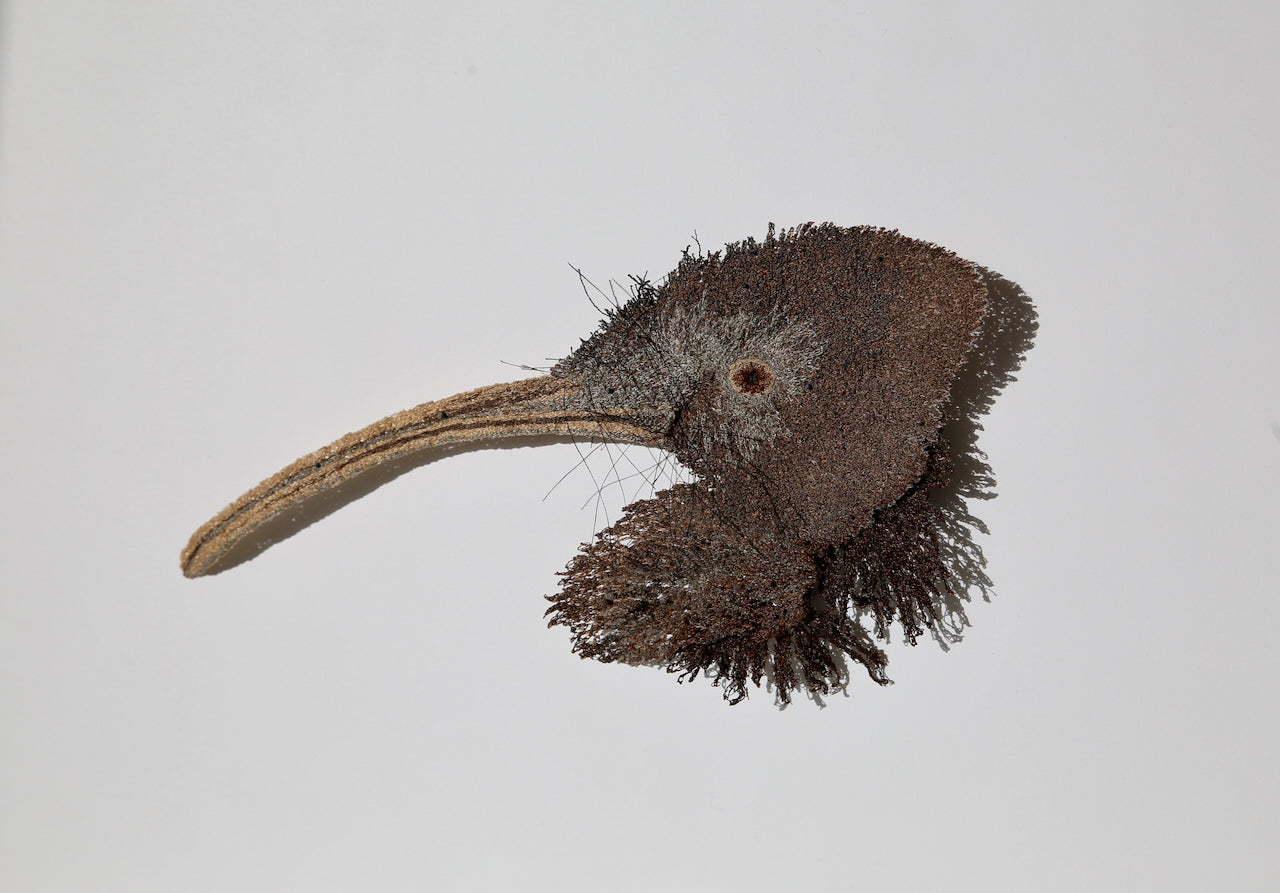 Brown Kiwi sculptural embroidery