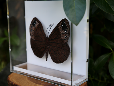 Black mountain ringlet butterfly 3D Thread Sculpture.