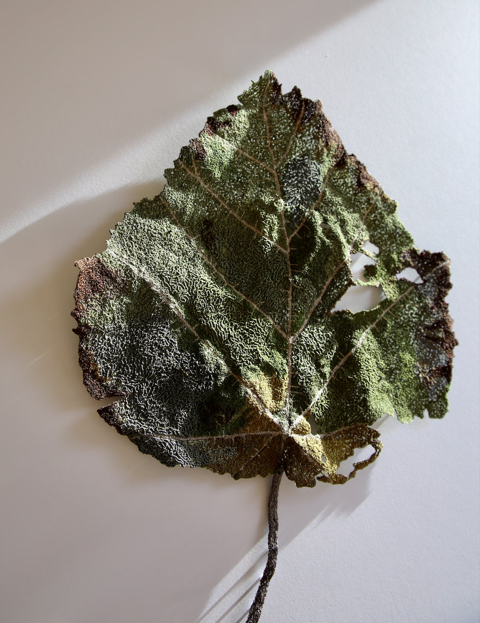 Whau Leaf of NZ thread sculpture. (Award winning piece).