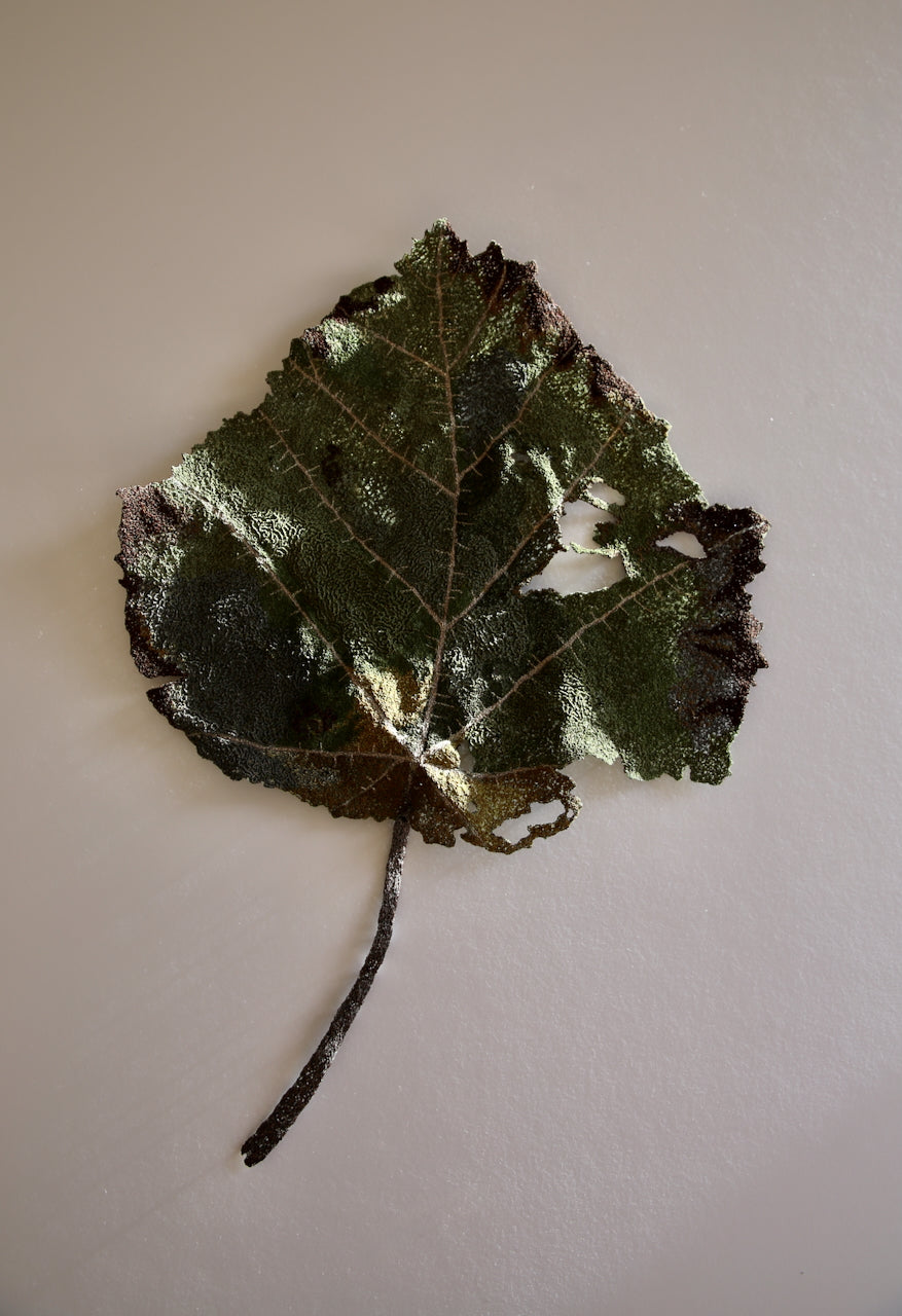 Whau Leaf of NZ thread sculpture. (Award winning piece).