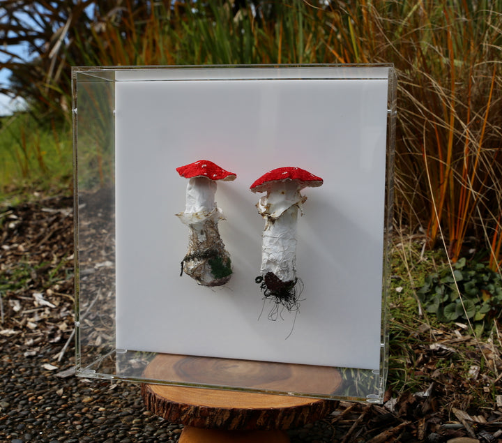 Amanita fungi of New Zealand 3D Thread Sculpture. #3.