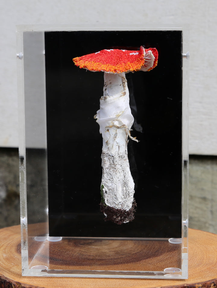Amanita muscaria fungi 3D Thread Sculpture - Now at Sculptureum.