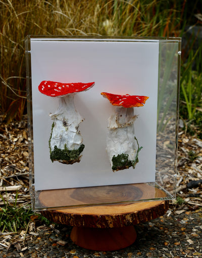 Amanita Muscaria 3D Thread Sculpture.