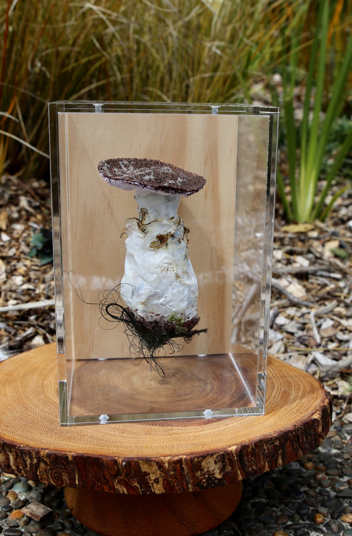 Amanita karea fungi 3D Thread Sculpture.