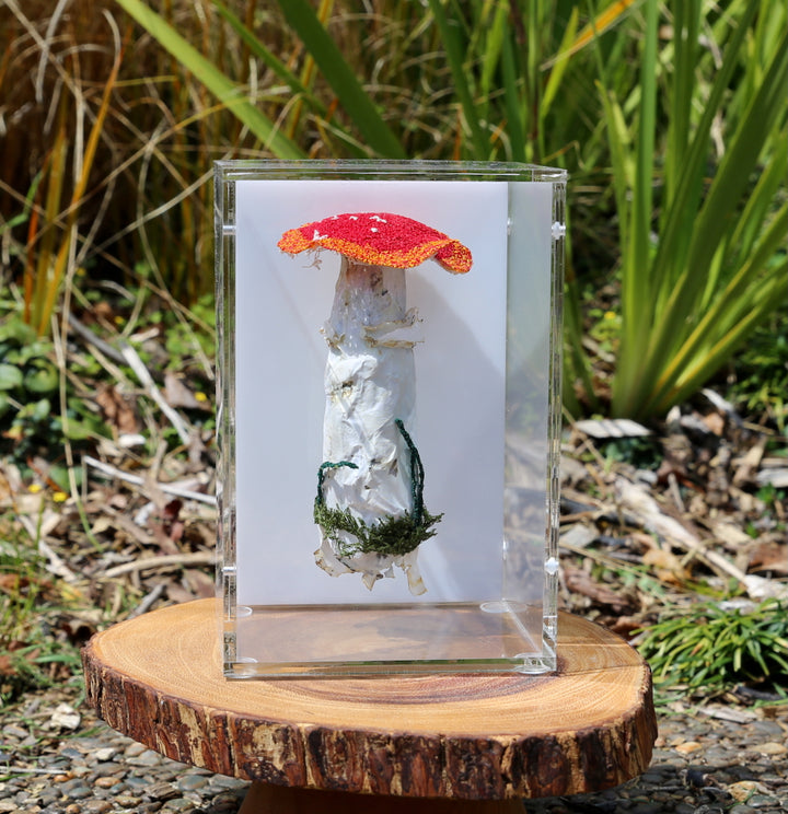 Amanita muscaria fungi 3D Thread Sculpture #3.