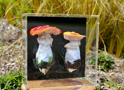 Amanita Muscaria 3D Thread Sculpture. #3