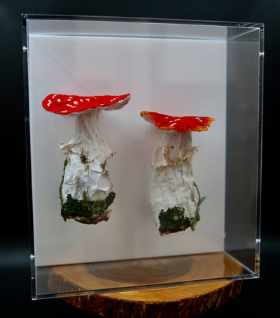 Amanita Muscaria 3D Thread Sculpture.