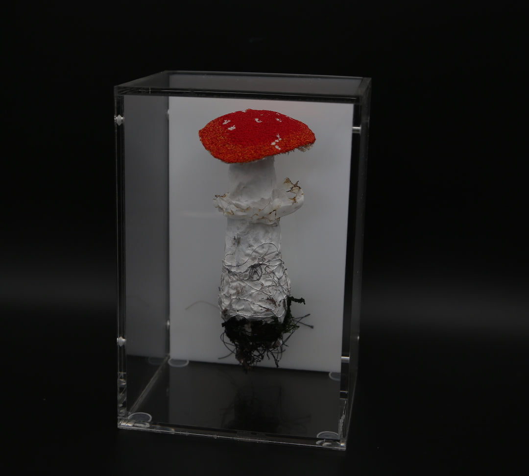 Amanita muscaria fungi 3D Thread Sculpture #2.