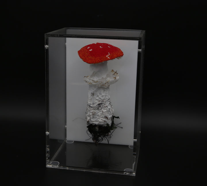 Amanita muscaria fungi 3D Thread Sculpture #2.