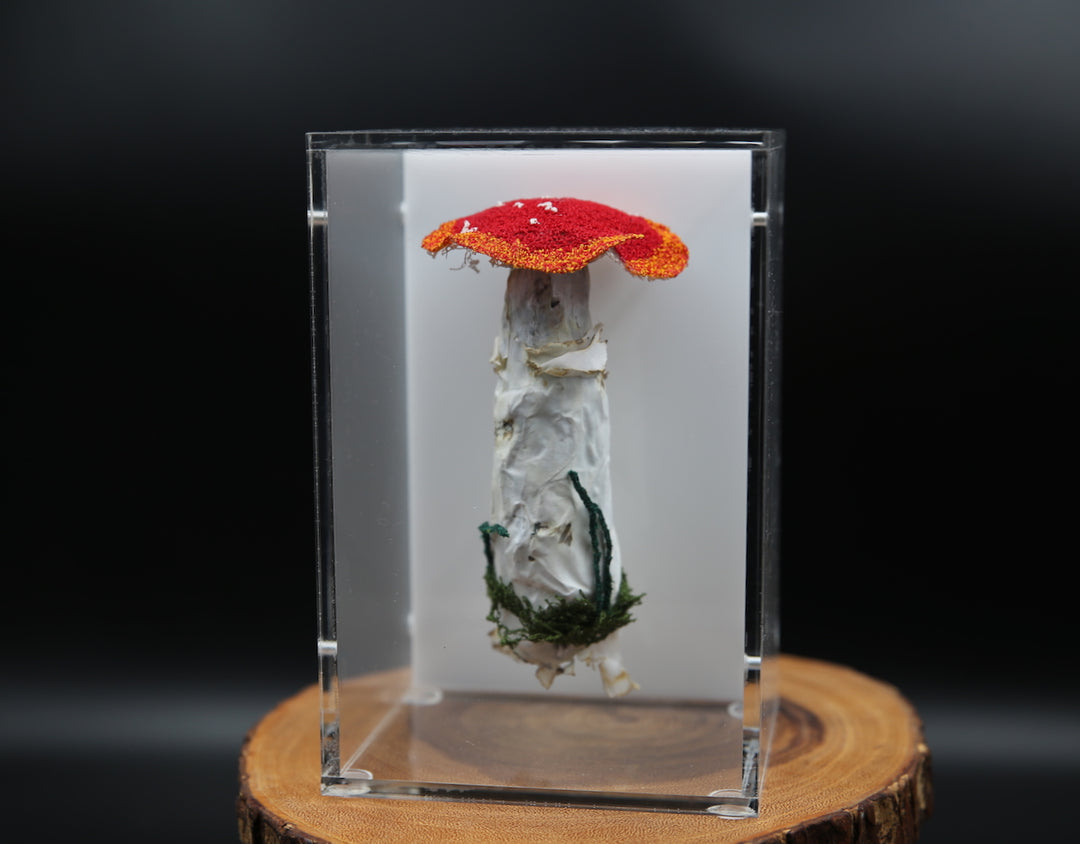 Amanita muscaria fungi 3D Thread Sculpture #3.