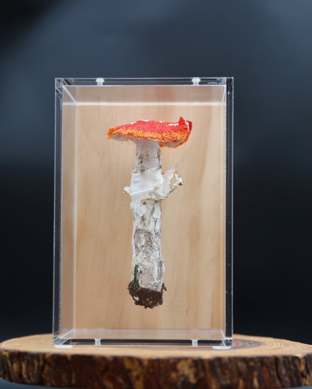 Amanita muscaria fungi 3D Thread Sculpture.