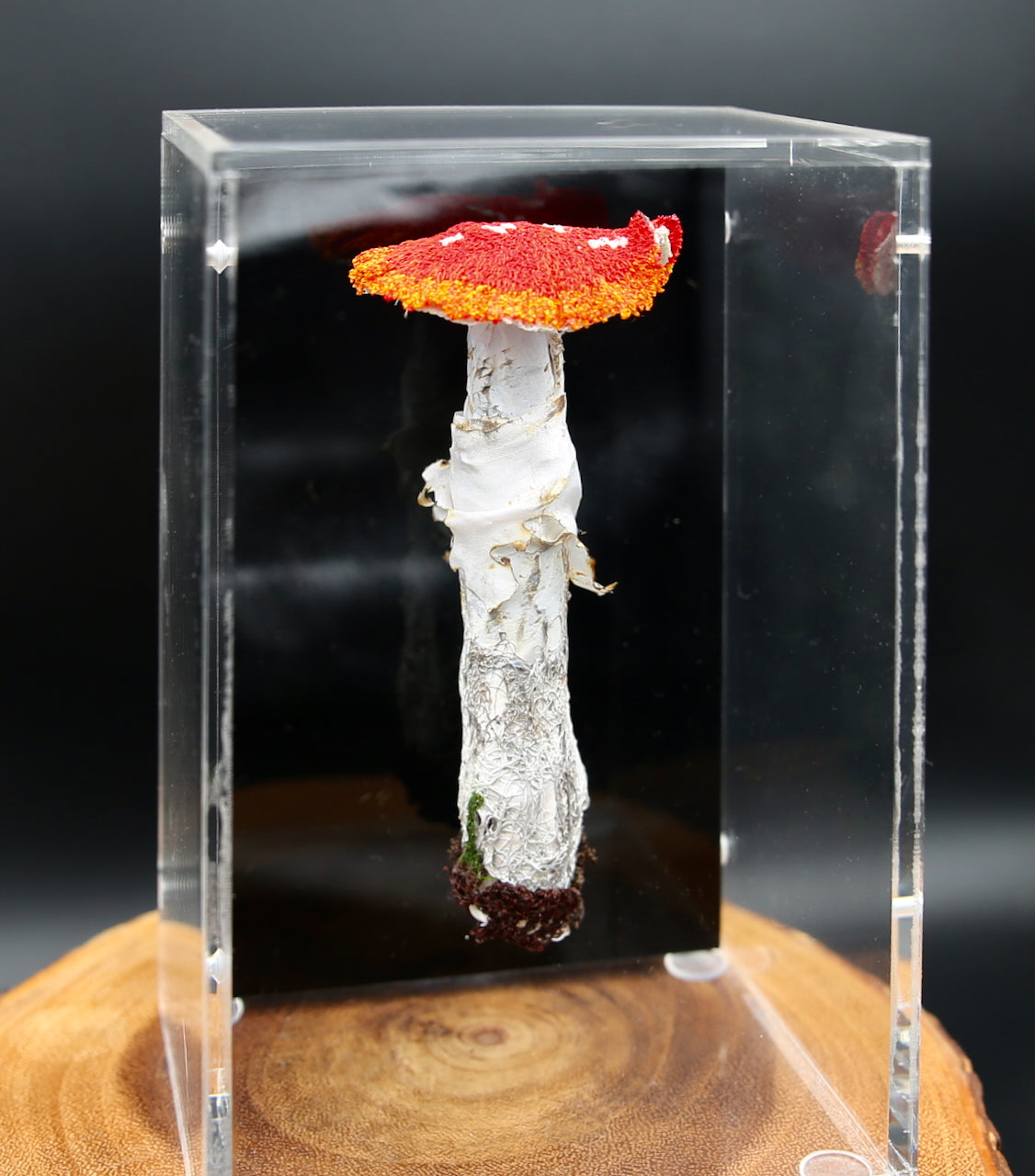 Amanita muscaria fungi 3D Thread Sculpture - Now at Sculptureum.