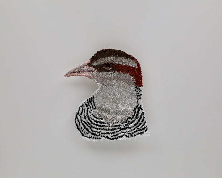 Banded Rail 3D Thread Sculpture.
