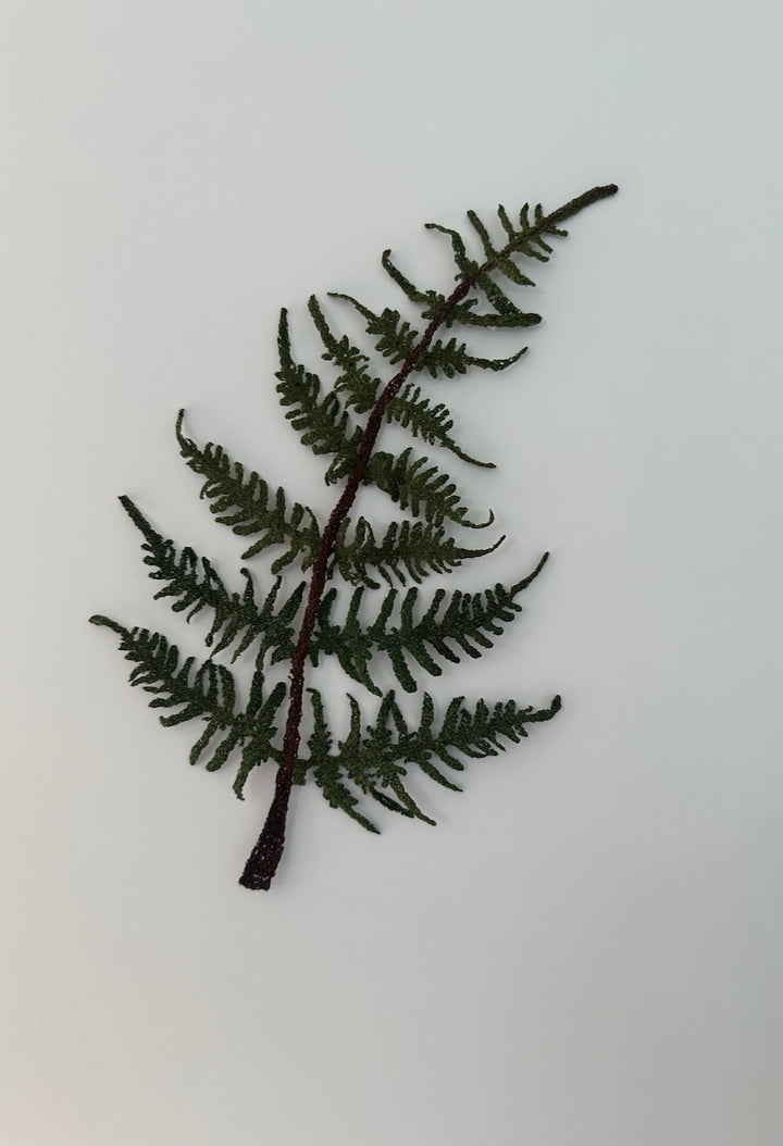 Bracken Fern Leaf 3D Thread Sculpture #2. (large)