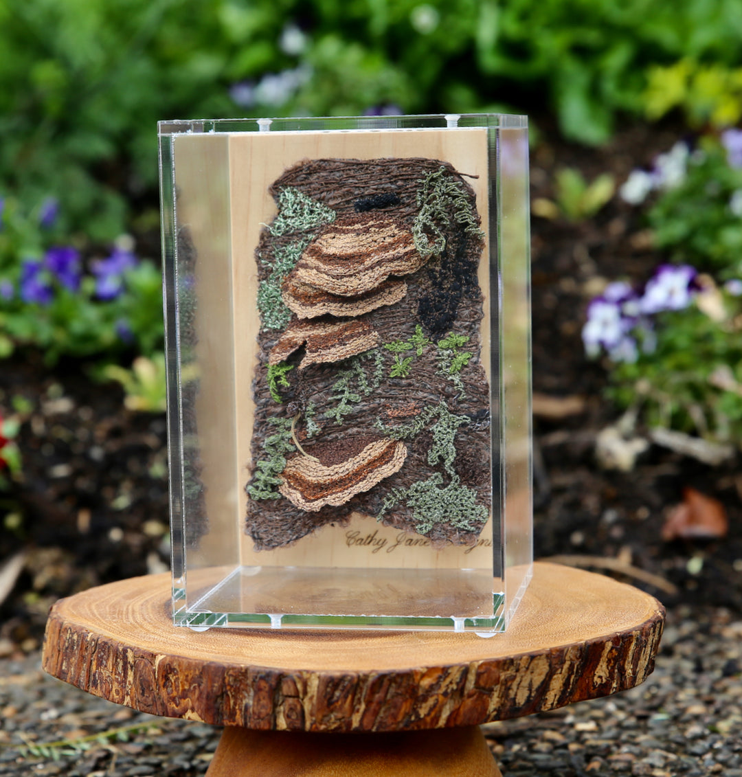 Bracket fungi on bark 3D Thread Sculpture.