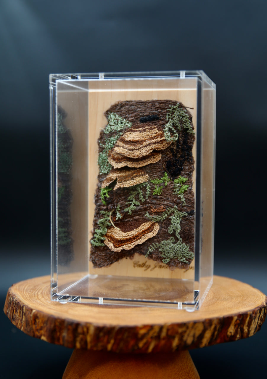 Bracket fungi on bark 3D Thread Sculpture.