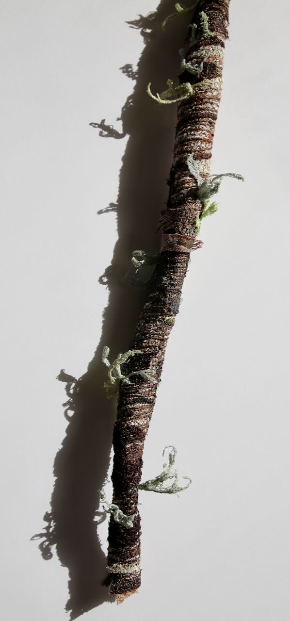 Native branchlet and lichen 3D Thread Sculpture. #3.