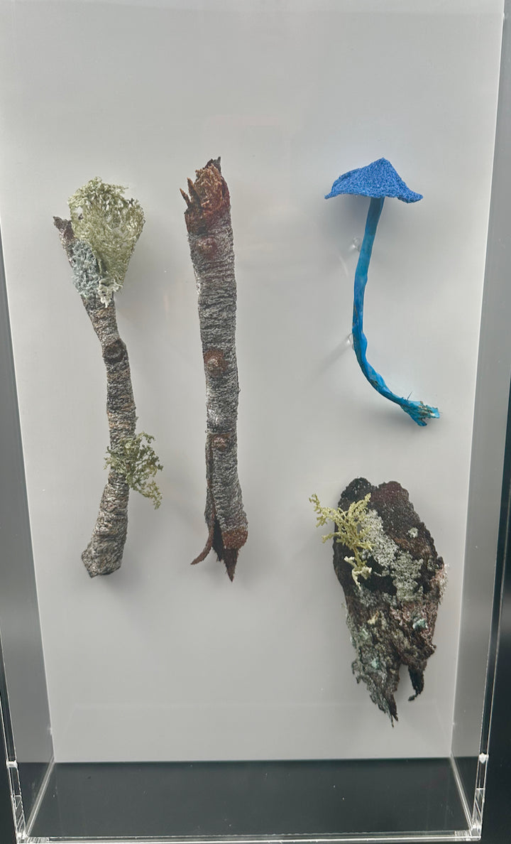 Native branchlets and fungi 3D Thread Sculpture.