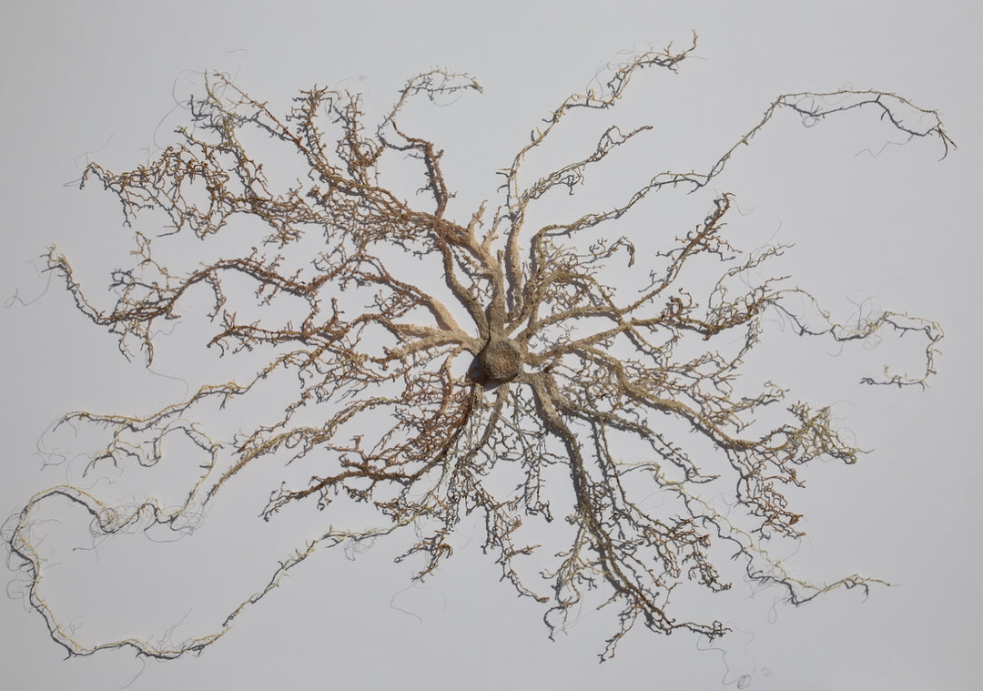 Intertwined Roots. 3D Thread Sculpture. (Finalist for Golden art award).