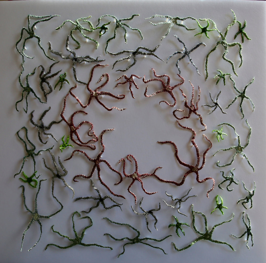 Brittlestar bed.  3d fibre art.