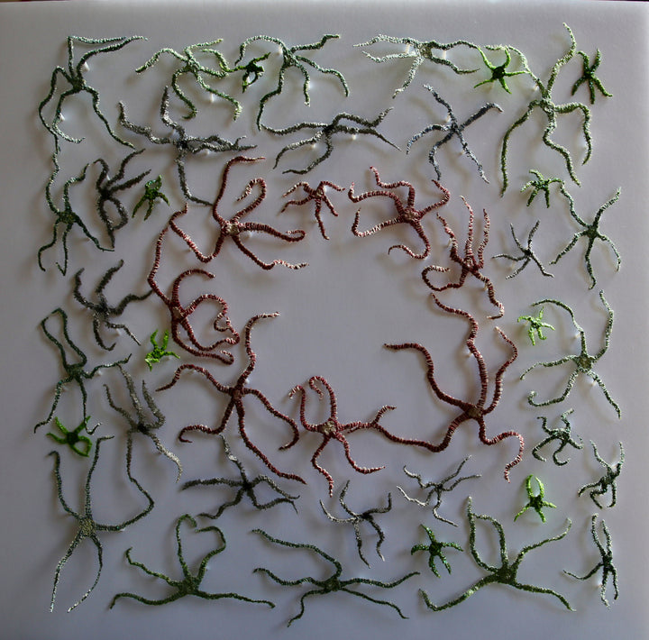 Brittlestar bed.  3d fibre art.
