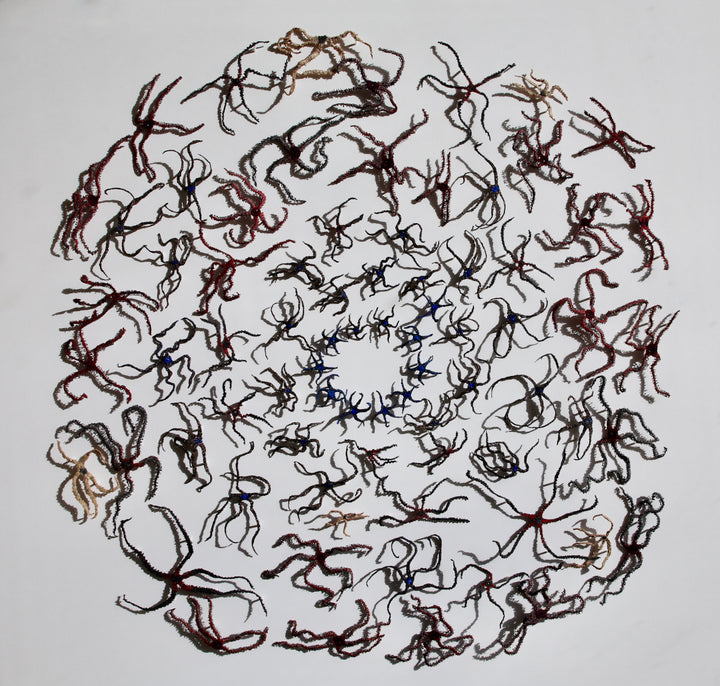 Extroardinary echinoderms (brittlestars).  3d fibre art.