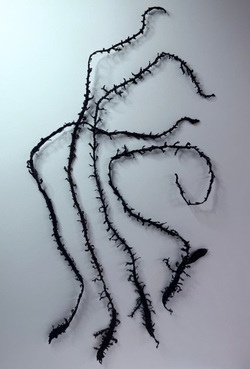 New Zealand seaweed Tango 3D Thread Sculpture.