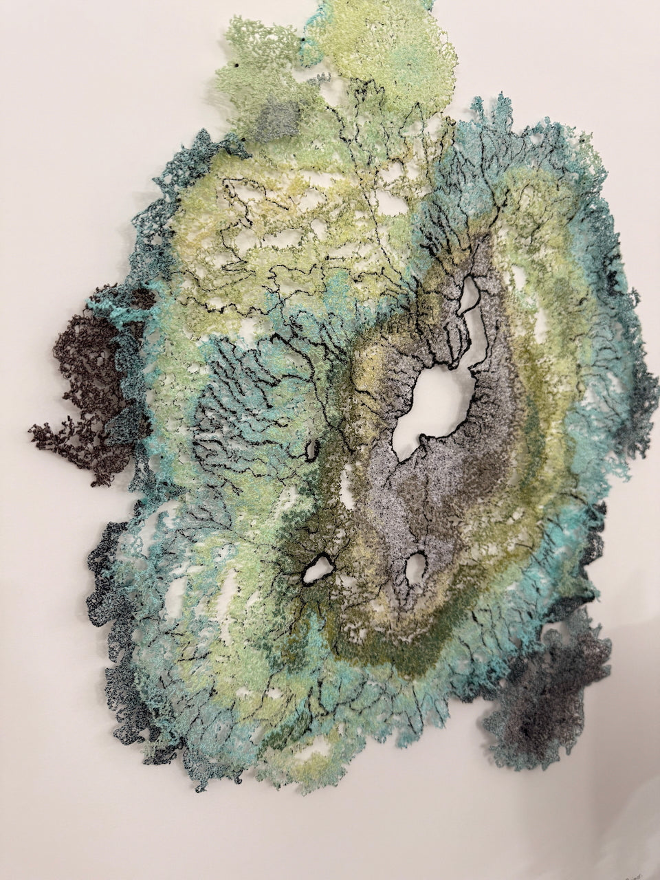 Symbiosis (Greenshield Lichen) 3D Thread Sculpture.