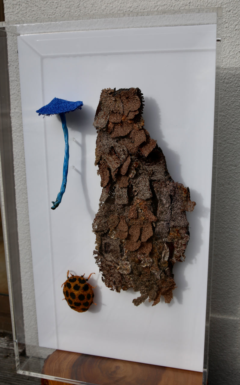 Cabbage tree bark, fungi and harlequin ladybird 3D Thread Sculpture.