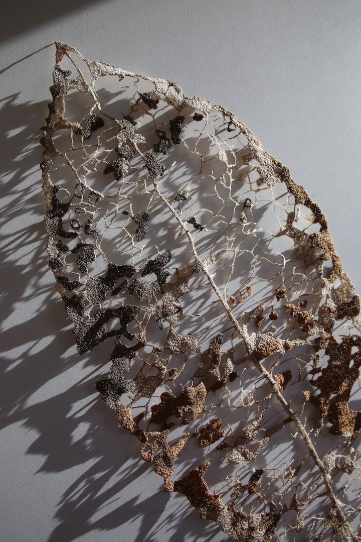 Large Māhoe Leaf skeleton. 3D Thread Sculpture #3.