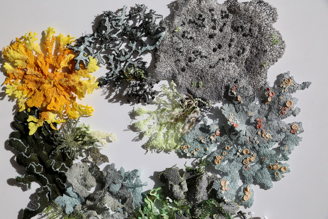 Lavish landscape of lichens.  3D Thread Sculpture.