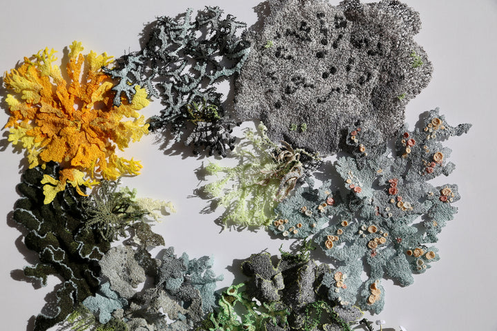 Lavish landscape of lichens.  3D Thread Sculpture.