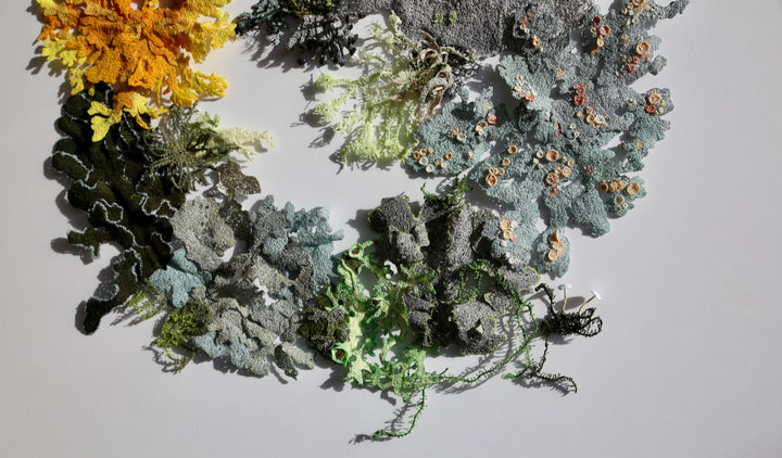 Lavish landscape of lichens.  3D Thread Sculpture.
