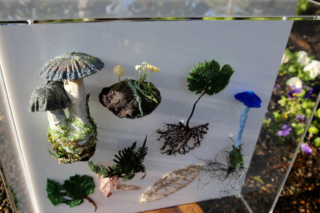Fungi & ferns of New Zealand 3D Thread Sculpture. (commission)