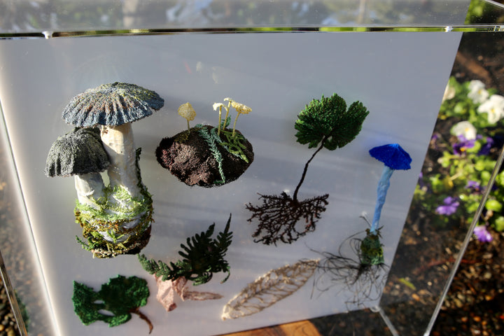 Fungi & ferns of New Zealand 3D Thread Sculpture. (commission)