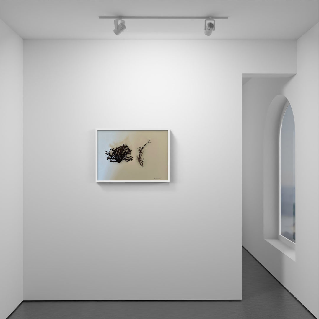 Brown seaweed 3D Thread Sculpture.