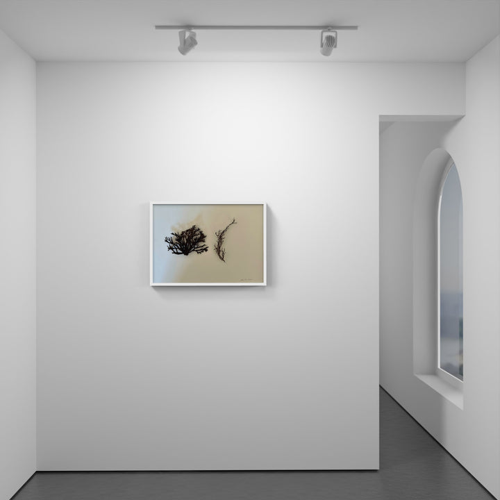 Brown seaweed 3D Thread Sculpture.