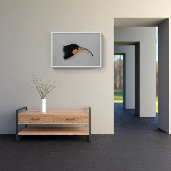 Huia 3D Thread Sculpture.