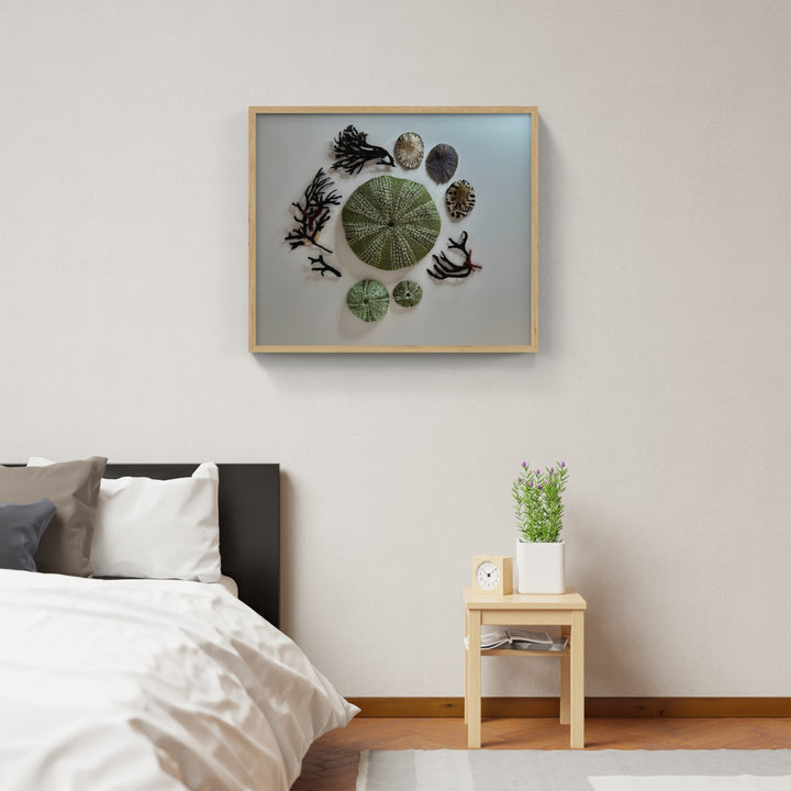 Kina, limpets and seaweed 3D Thread Sculpture.