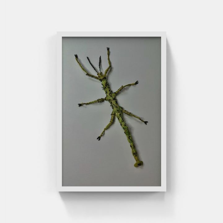 Prickly stick insect 3D Thread Sculpture.