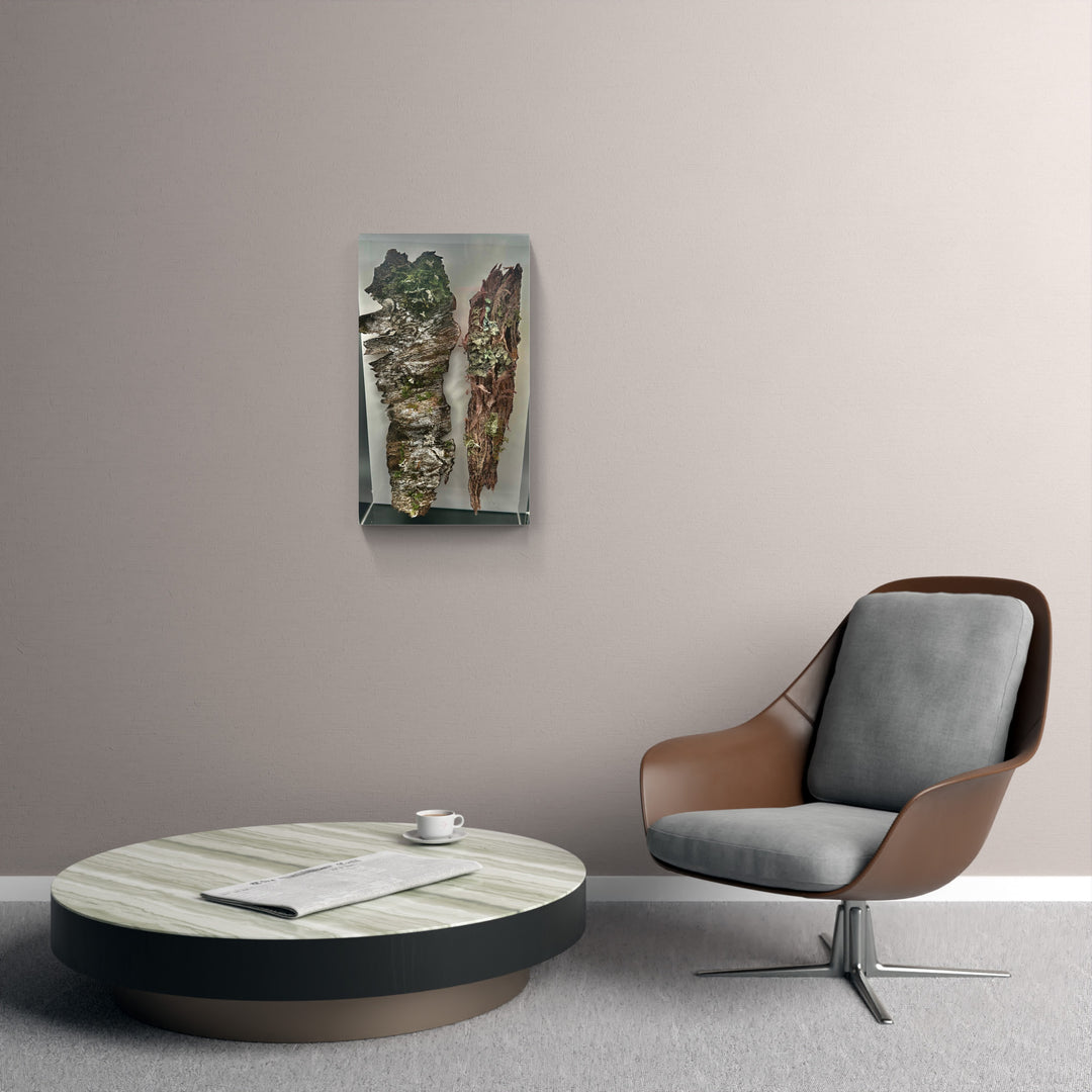 Silver birch and Kanuka tree bark 3D Thread Sculpture.