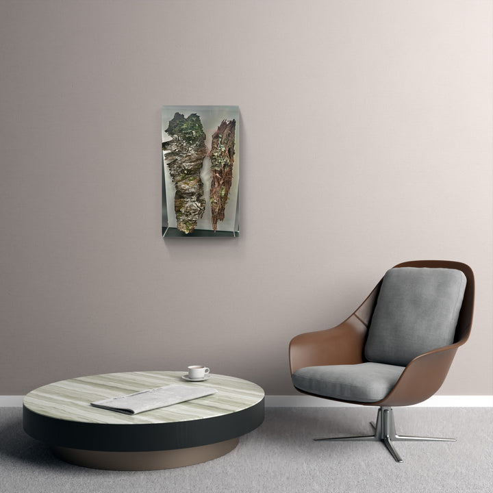 Silver birch and Kanuka tree bark 3D Thread Sculpture.