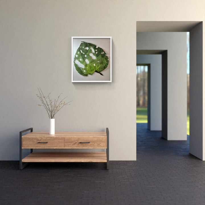 Giant Kawakawa Leaf 3D Thread Sculpture #4.