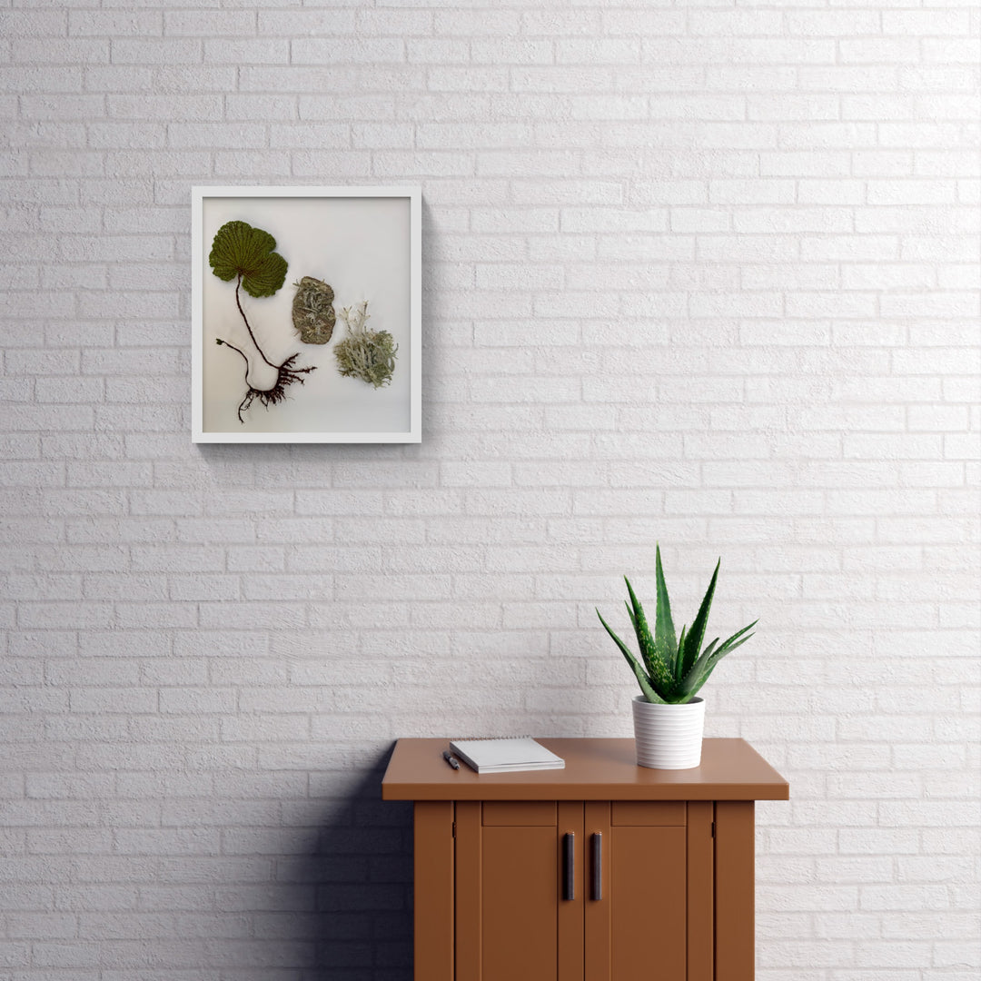 NZ Kidney Fern and Lichens 3D Thread Sculpture.