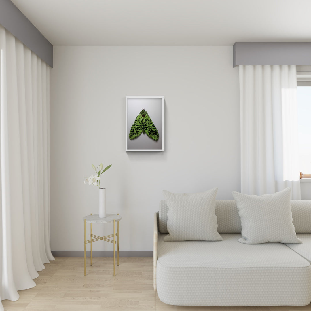 Puriri Moth 3D Thread Sculpture #3.