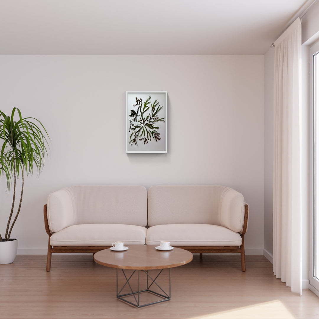 Neptune's necklace seaweed 3D Thread Sculpture.