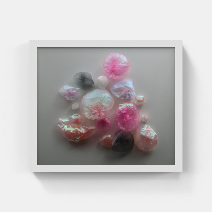 New Zealand Shells.  3D Fabric Sculpture.
