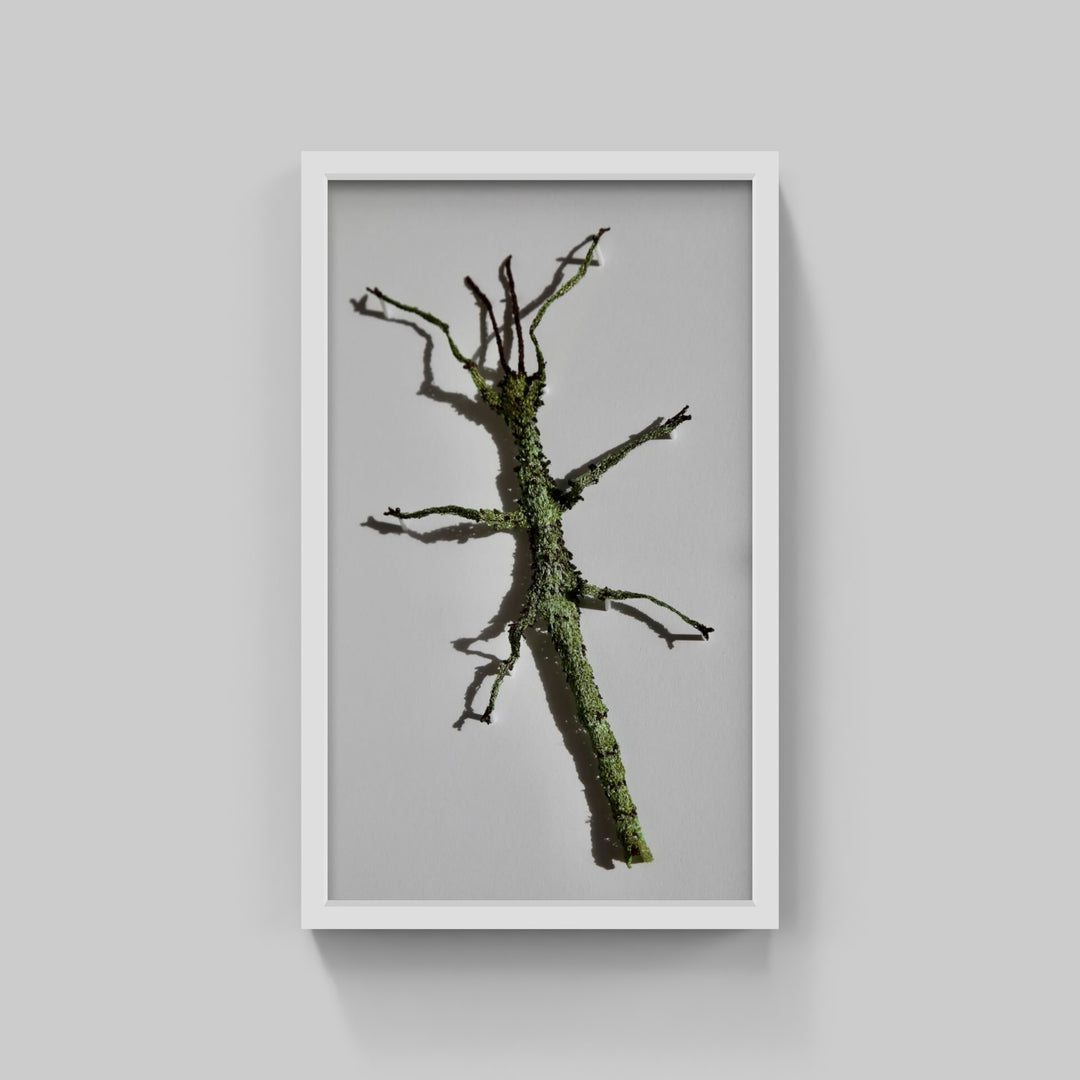 Prickly stick insect 3D Thread Sculpture #2.