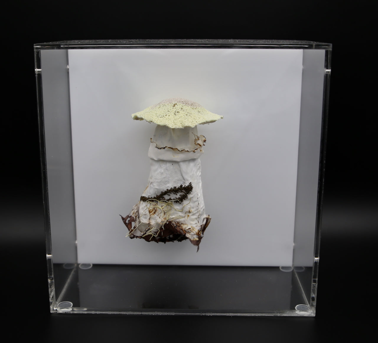 Deathcap Fungi 3D Thread Sculpture #7.