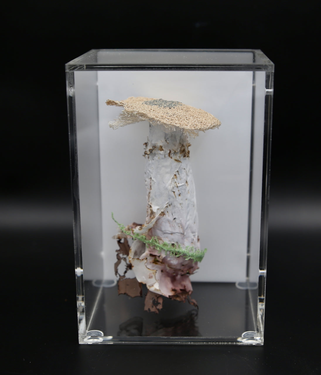 Deathcap Fungi 3D Thread Sculpture #8.